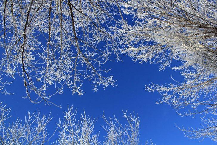 İşte Türkiye'nin en soğuk ilçesi G5