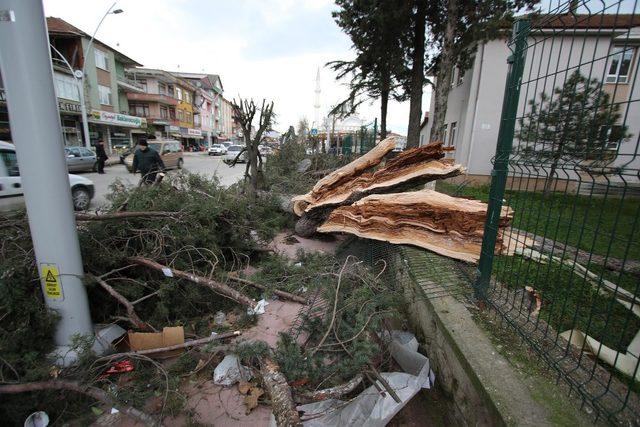 Akyazı Belediyesi ekipleri fırtına mesaisi yapıyor