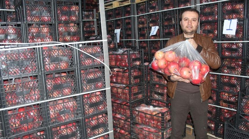 Samsat&rsquo;ta kış ortası nar ihra&ccedil; ediliyor