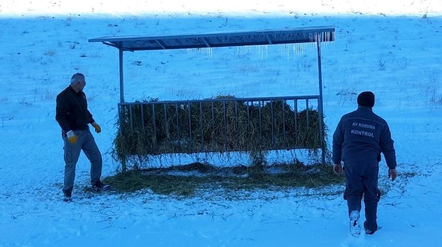 Konya&rsquo;da yaban hayvanlarına yem bırakıldı