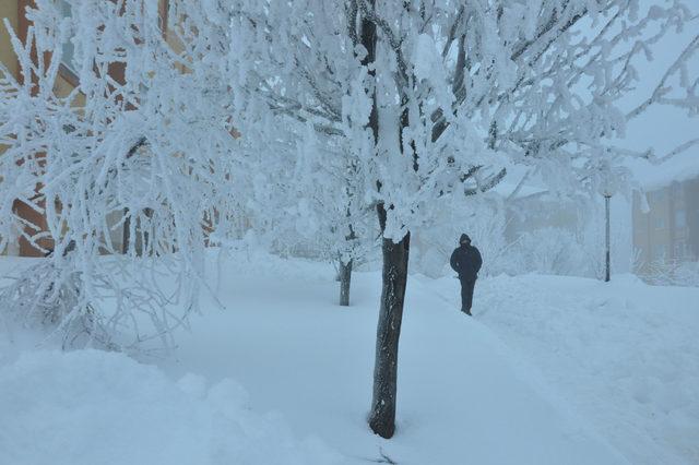 Bitlis’te kar yağışı durdu; sis ve soğuk etkili