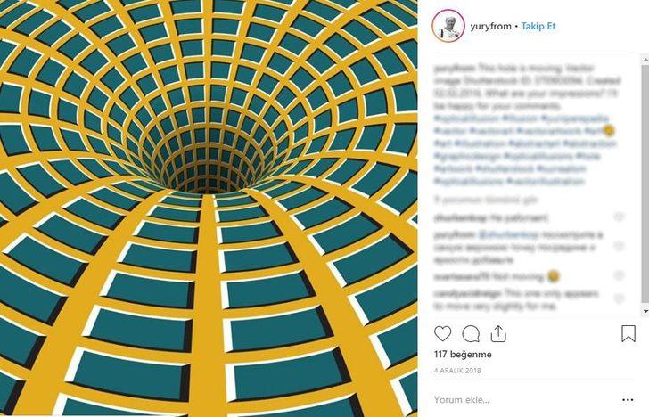 Resimde bir hayvan gizli, görebildiniz mi? G5