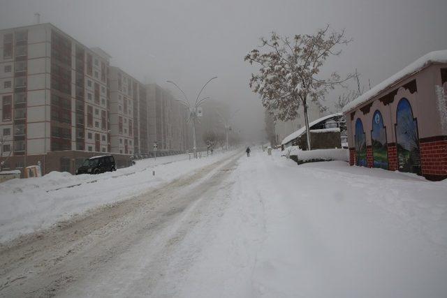 Şırnak’ta kar temizleme çalışmaları devam ediyor