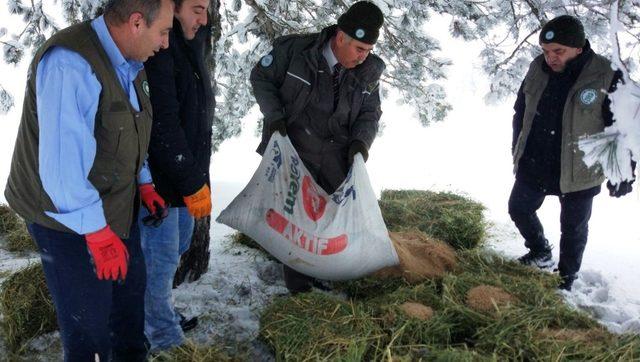 Kütahya’da yaban hayvanları için doğaya yem bırakıldı