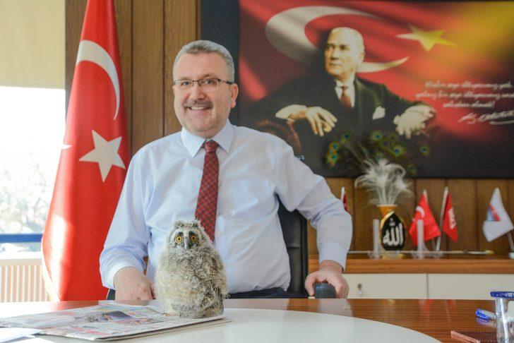 Belediye başkanı, baykuşu makamında ağırladı