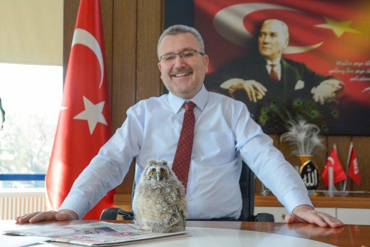 Belediye başkanı, baykuşu makamında ağırladı