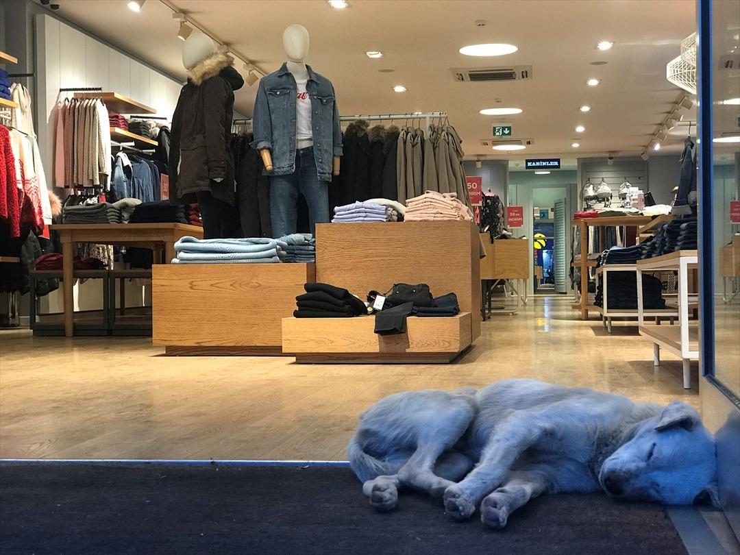 Edirne esnafı kayıtsız kalmadı! Bu haber i&ccedil;inizi ısıtacak