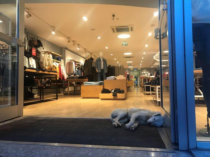 Edirne esnafı kayıtsız kalmadı! Bu haber içinizi ısıtacak G1