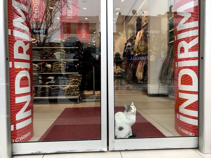 Edirne esnafı kayıtsız kalmadı! Bu haber içinizi ısıtacak G4