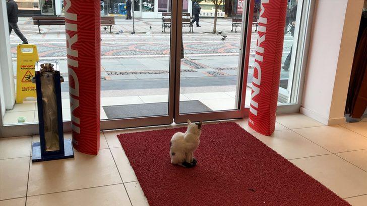 Edirne esnafı kayıtsız kalmadı! Bu haber içinizi ısıtacak G5