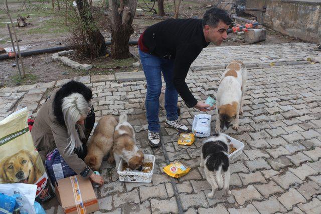 Sokak köpeklerini evinde besleyen hayvansevere mama desteği