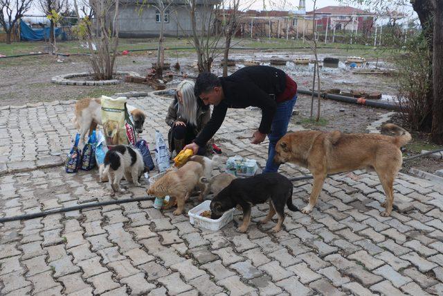 Sokak köpeklerini evinde besleyen hayvansevere mama desteği