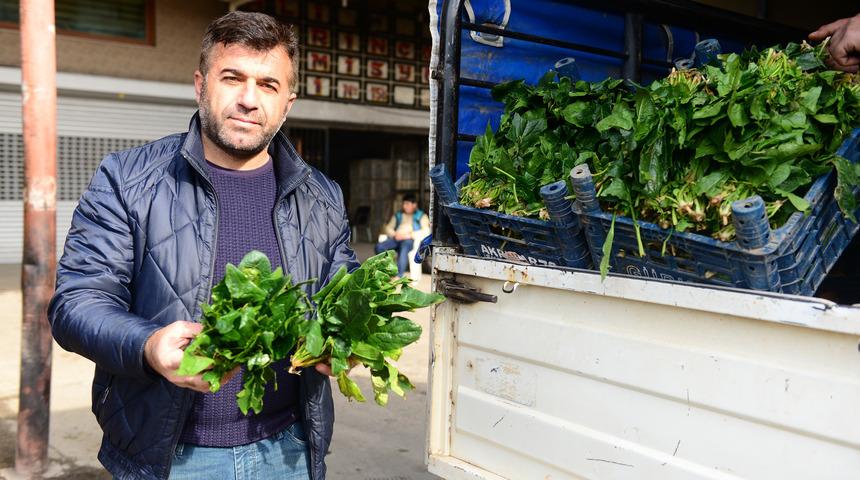 Su baskınları yüzünden ıspanağın fiyatı 4 kat arttı