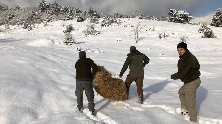 Yaban hayvanları i&ccedil;in doğaya yiyecek bırakıldı