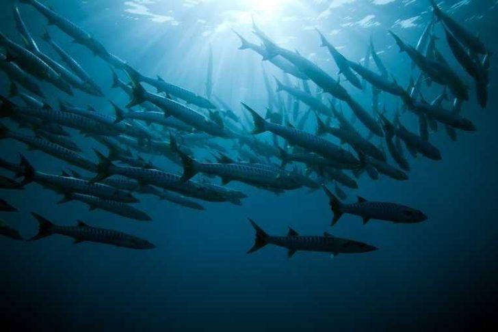 Dünya alarm veriyor! 2018 tarihe geçti G5