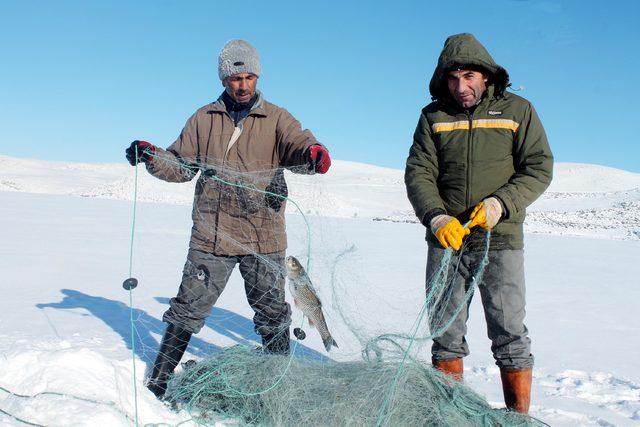 Donan Çıldır Gölü'nde, Eskimo usulü balık avlıyorlar