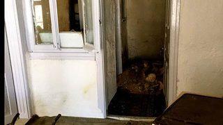 Kiraya verdiği evi gören ev sahibine büyük şok!