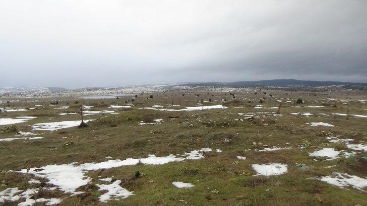 Kütahya’ya 40 milyon dolarlık biyokütle enerji yatırımı G4