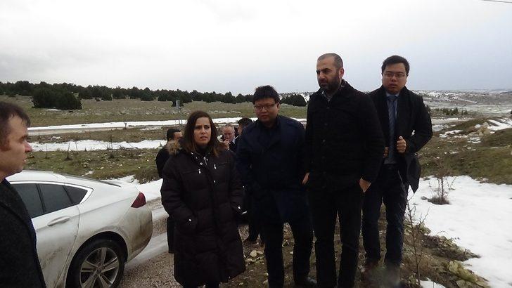 Kütahya’ya 40 milyon dolarlık biyokütle enerji yatırımı G5