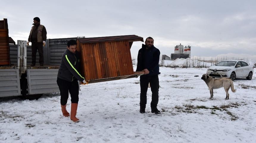 Konya’da sokak köpeklerine sıcak yuva