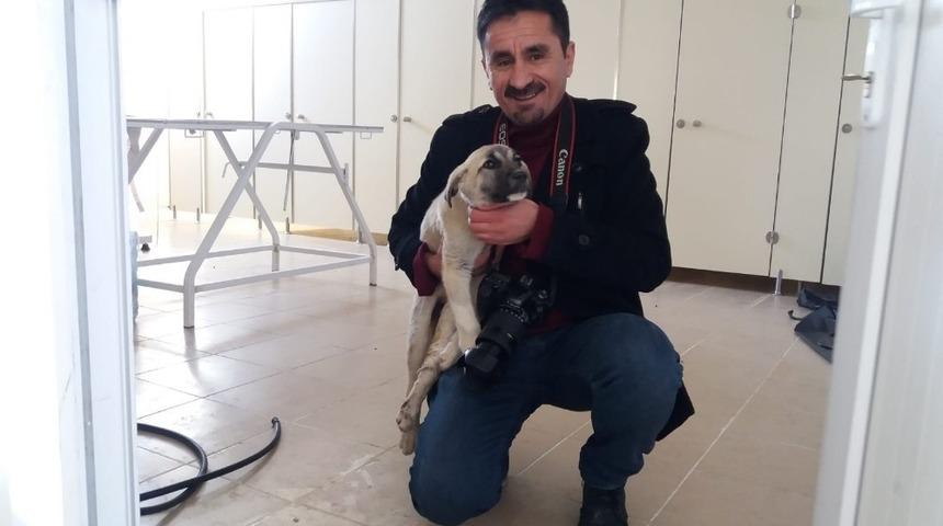 Hakkari Belediyesinden sokak hayvanlarına sıcak yuva