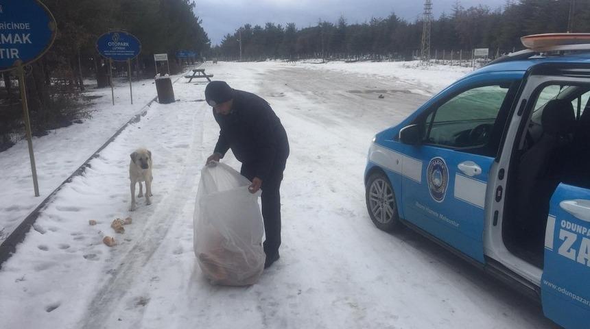 Odunpazarı Zabıtası&rsquo;ndan sokak hayvanlarına destek