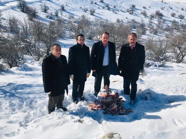 Boğazlıyan’da yaban hayvanları için doğaya yem bırakıldı