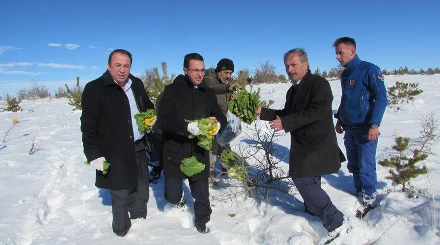 Boğazlıyan&rsquo;da yaban hayvanları i&ccedil;in doğaya yem bırakıldı