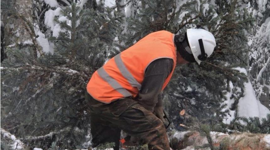 Orman k&ouml;yl&uuml;leri, eksi 5 derede ekmek m&uuml;cadelesi veriyor