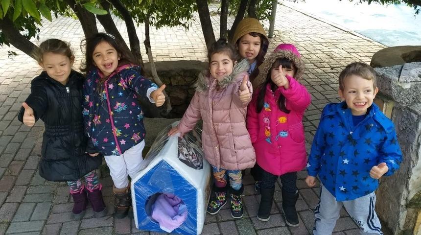 &Ccedil;eşmeli miniklerden sokaktaki kedilere ev