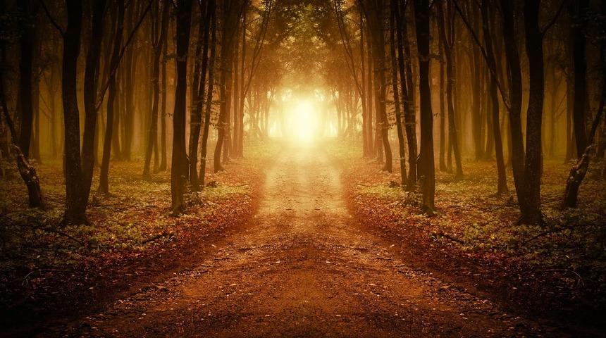 Bilin&ccedil;altınızla İlgili Bu Test Hayata Bakışınızı Ortaya &Ccedil;ıkartıyor