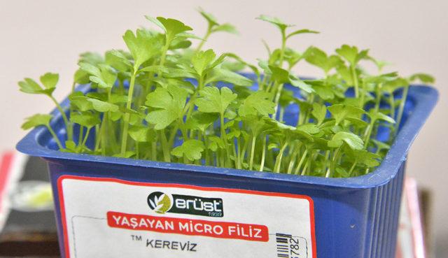 Mikro ürünlerin 10 gramı, 15-20 kilo normal sebzedeki vitamine eş değer