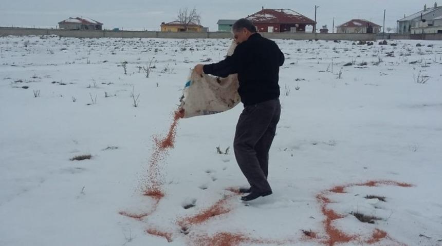 Soğuk havalarda yiyecek bulamayan yaban hayvanlarını unutmadı