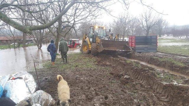 Sel baskınında mahsur kalan koyun ve köpekler kepçe ile kurtarıldı