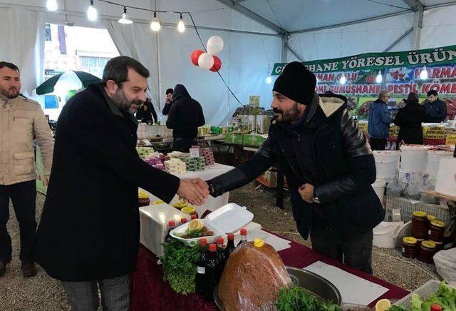 Gürsu hamsi ve kemençeye doydu