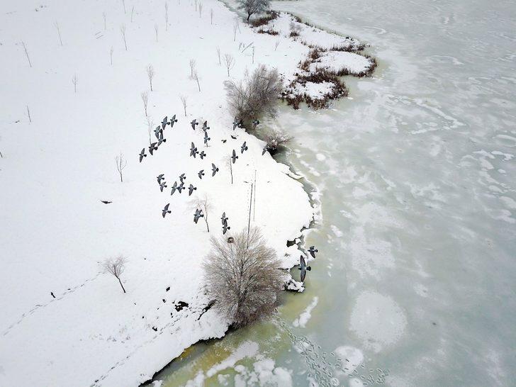 Uludağ'ın yanı başında! Gelen kayıtsız kalamıyor G4