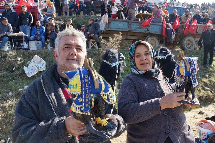 Bu develer güreşmiyor, evleri süslüyor G5