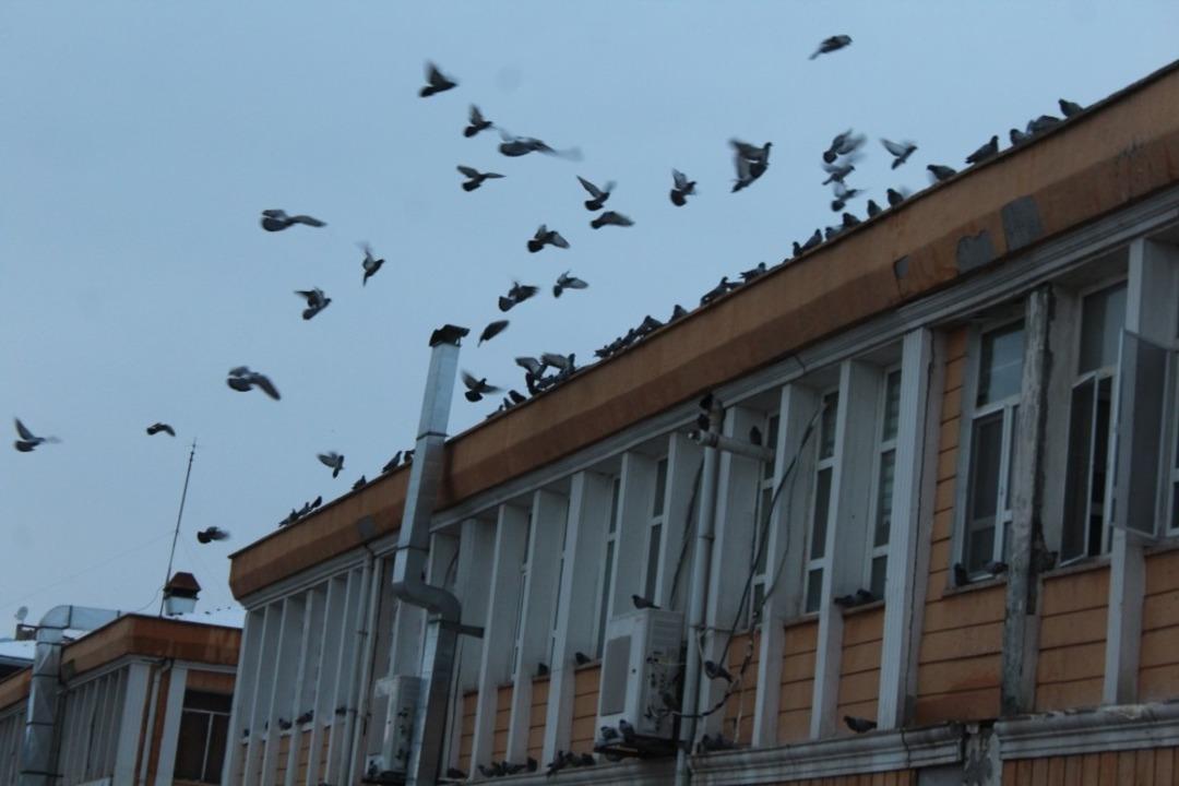 G&uuml;vercin dostu Belediye