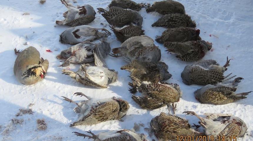 Erzincan&rsquo;da ka&ccedil;ak avcıya 17 Bin 194 TL para cezası verildi