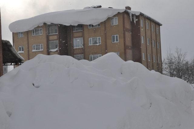 Van, Bitlis ve Hakkari'de 370 yerleşim yerinin yolu kardan kapandı