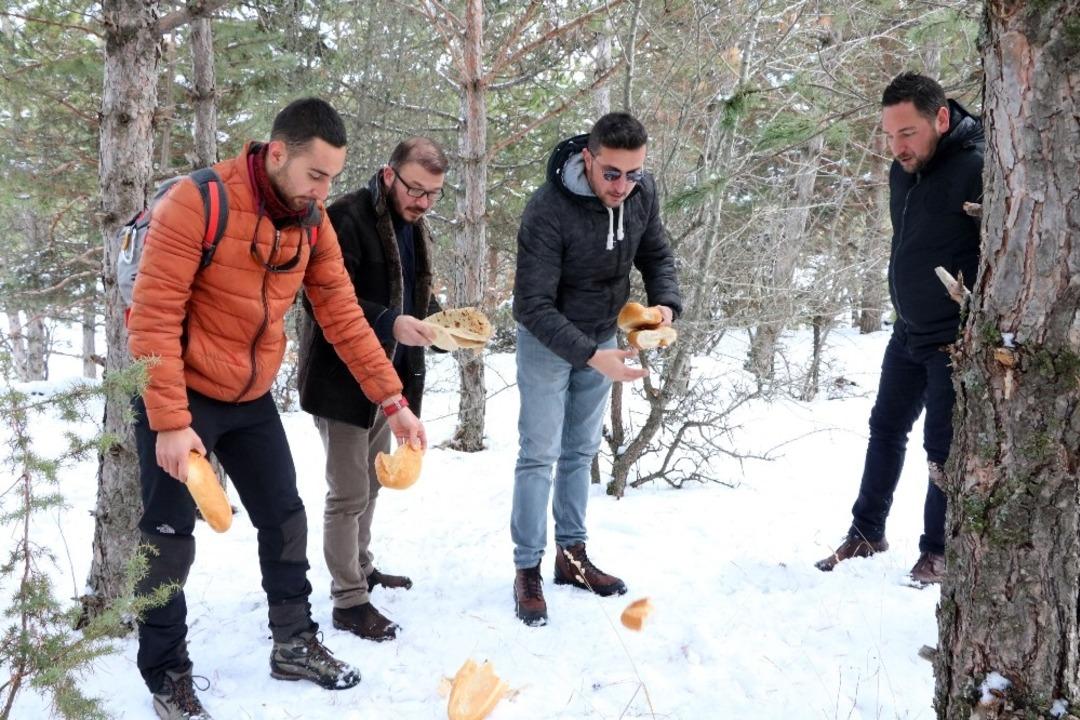 Soğuk kış g&uuml;nlerinde yaban hayvanlarını unutmadılar