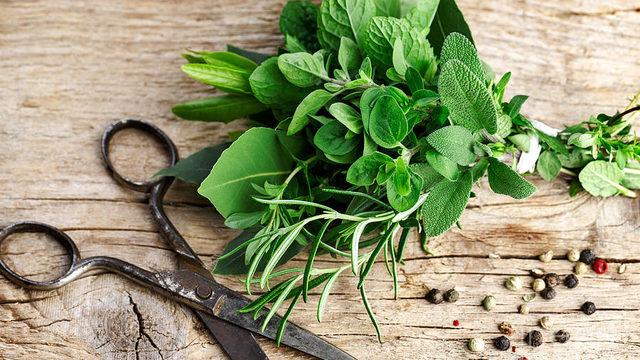 Bu Yöntemle Şifalı Otları Bütün Yıl Mutfağınızda Yetiştirin