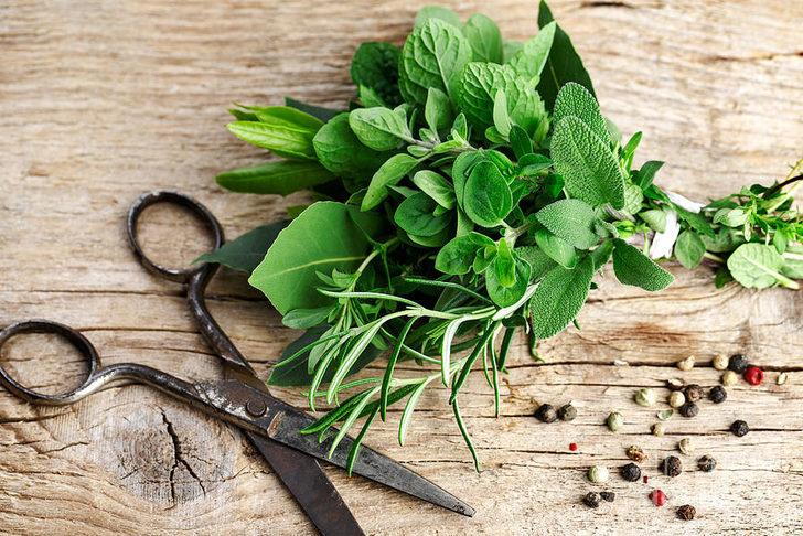 Bu Yöntemle Şifalı Otları Bütün Yıl Mutfağınızda Yetiştirin