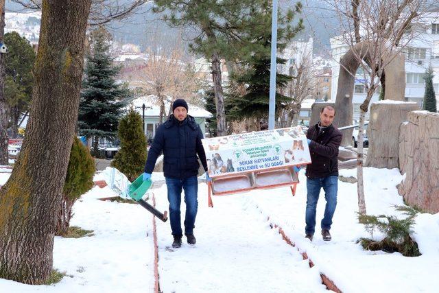 Yozgat Belediyesi’nden sokak hayvanlarına şefkat eli