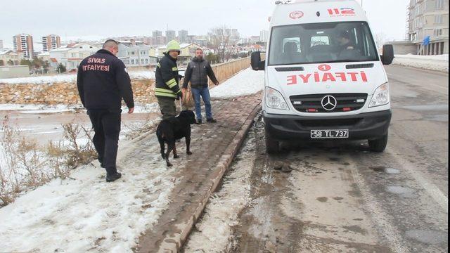 Donmakta olan köpek son anda kurtarıldı