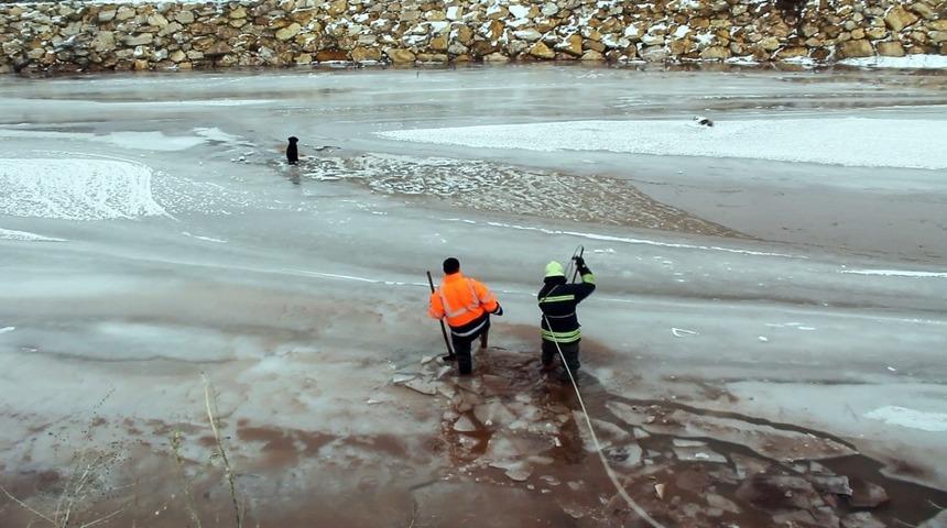 Donmakta olan k&ouml;pek son anda kurtarıldı