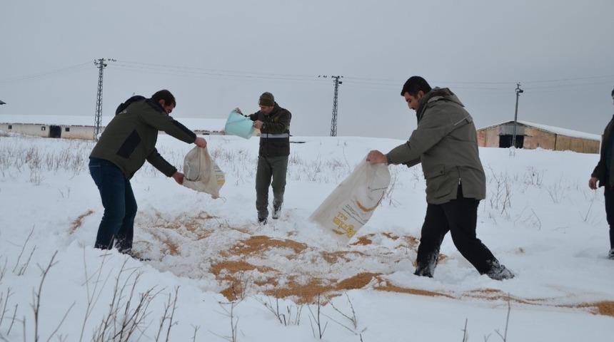 Muş&rsquo;ta yaban hayvanları i&ccedil;in doğaya yem bırakıldı