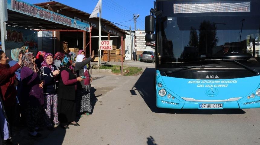 Şafak-G&uuml;zeloba-Altınova seferleri başladı