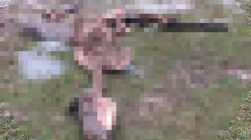 3 g&uuml;n &ouml;nce kaybolan tay, par&ccedil;alanmış halde bulundu