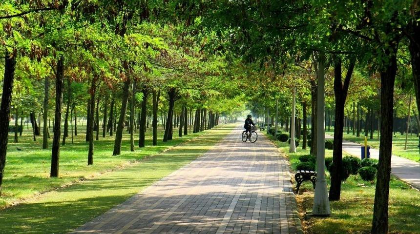 Kocaeli&rsquo;de 1 yılda 325 Bin 210 fidan toprakla buluştu